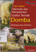 Cara sukses memulai dan menjalankan usaha ternak domba